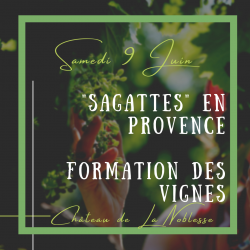 Atelier Sagatte - Bandol Vin de provence