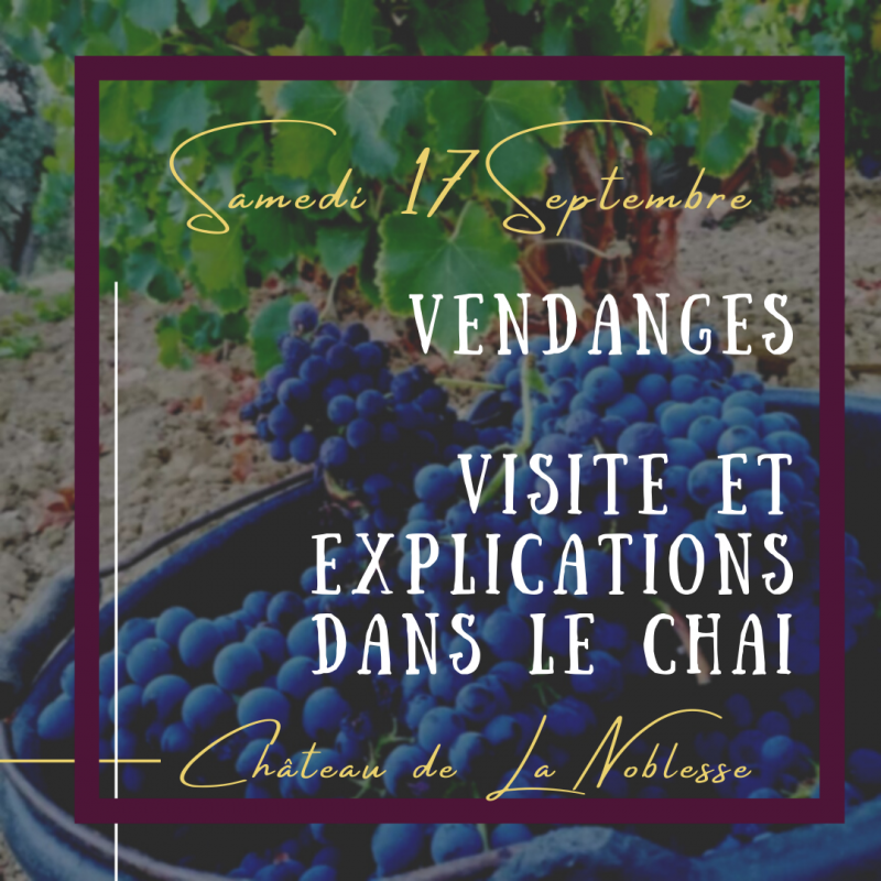 Vendange d'un jour - BANDOL - vin de Provence