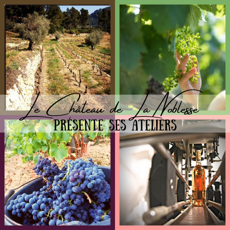 Ateliers personnalisés Vins de Bandol Ateliers personnalisés Vins de Bandol
