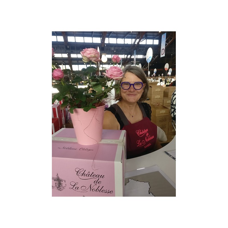 Présentation Rosé BANDOL Présentation Rosé BANDOL
