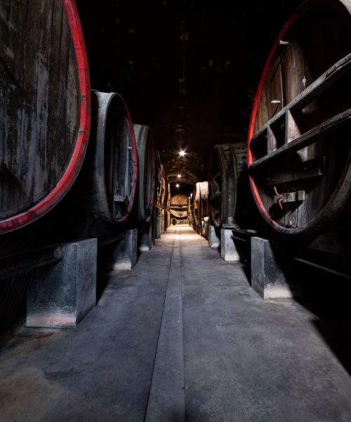 Le chateau de la noblesse